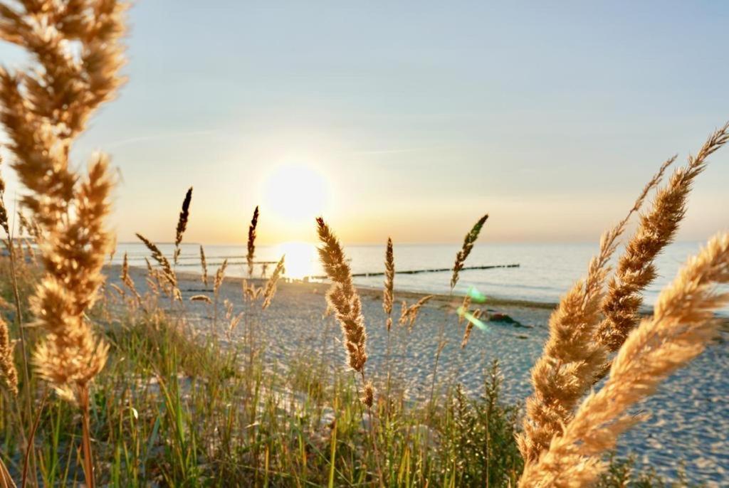 Ferienwohnung Strandurlaub เบอร์เกอเรนเดอ-เรทวิช ภายนอก รูปภาพ