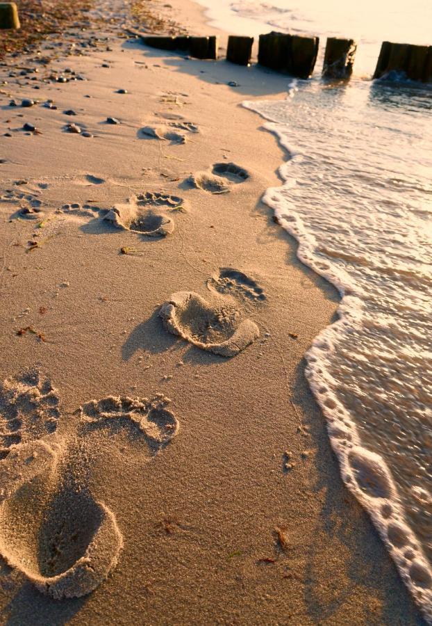 Ferienwohnung Strandurlaub เบอร์เกอเรนเดอ-เรทวิช ภายนอก รูปภาพ